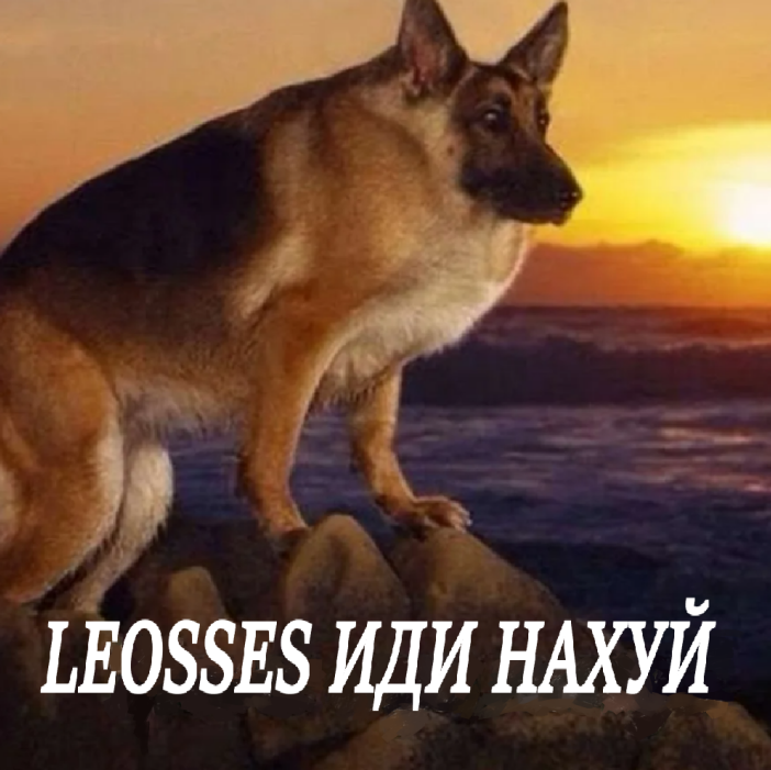 {TEXT?}