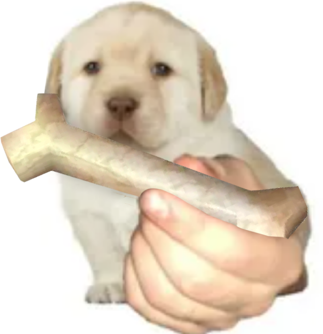 {TEXT?}