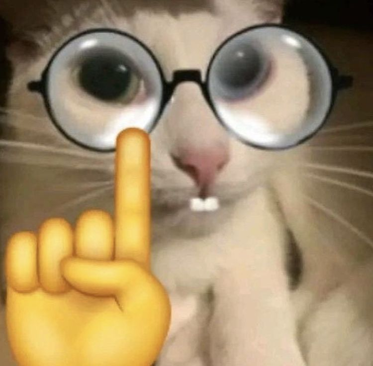 {TEXT?}