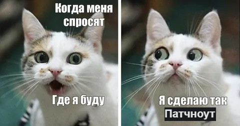 {TEXT?}