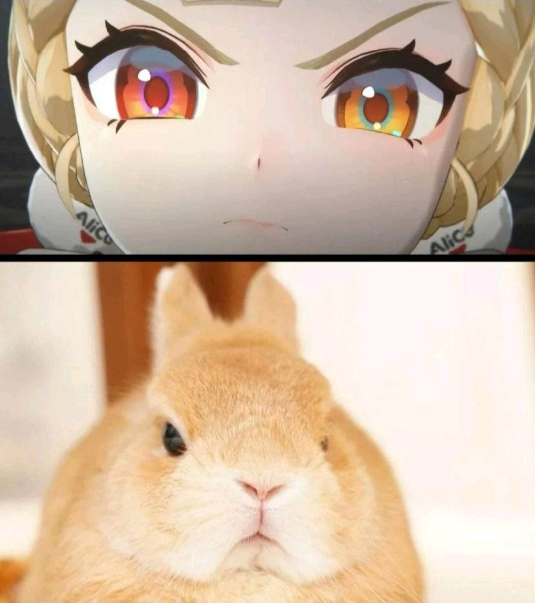 {TEXT?}