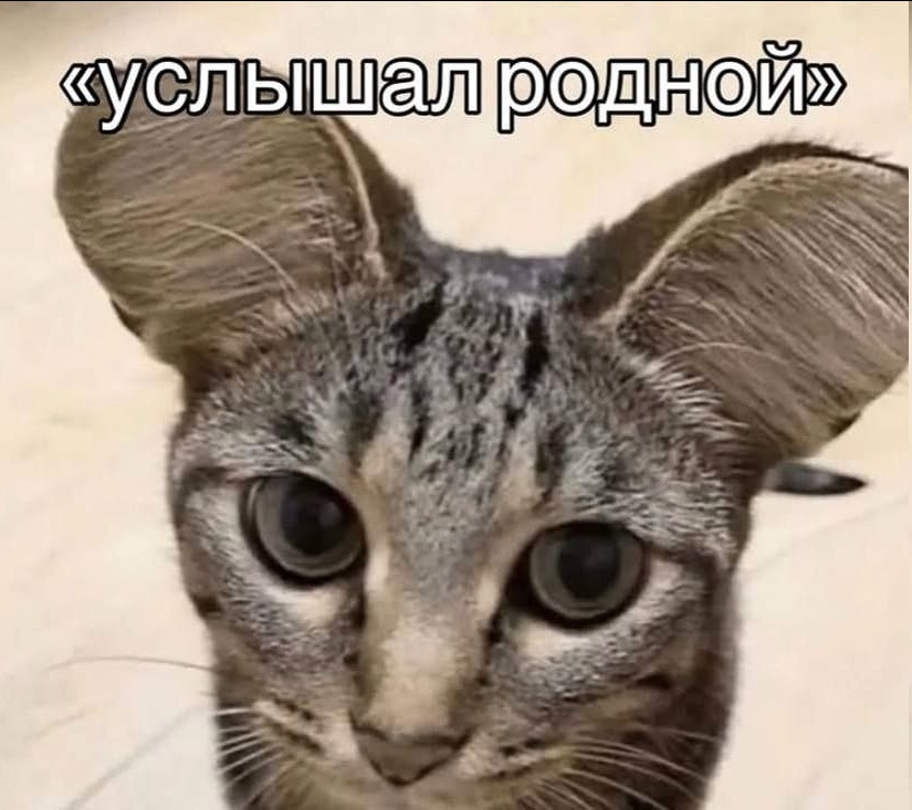 {TEXT?}