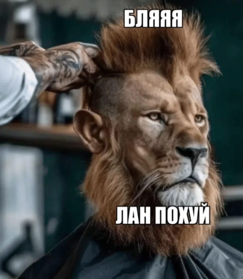 {TEXT?}