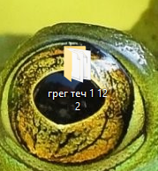 {TEXT?}