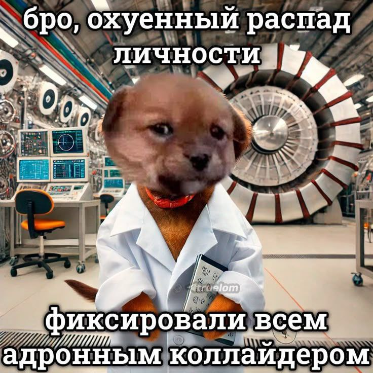 {TEXT?}