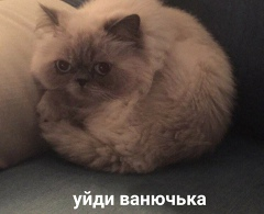{TEXT?}