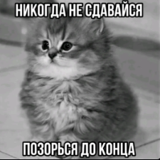 {TEXT?}