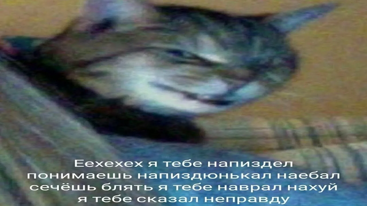 {TEXT?}