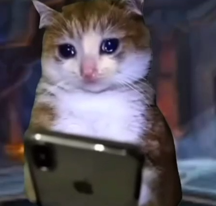 {TEXT?}