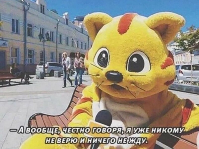 {TEXT?}