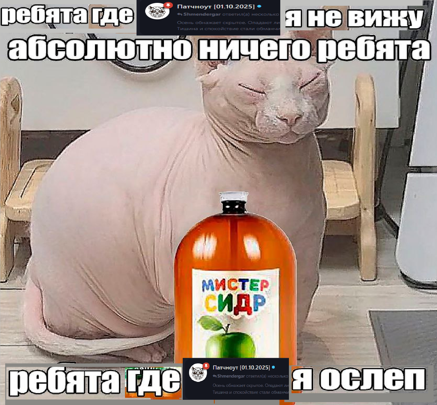 {TEXT?}