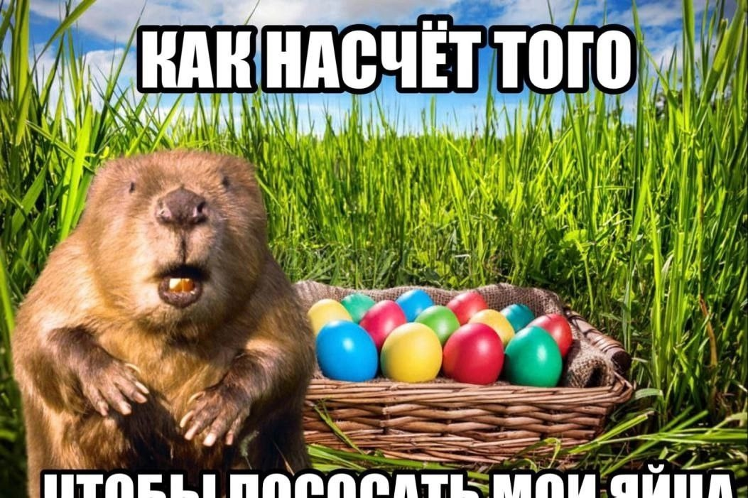 {TEXT?}