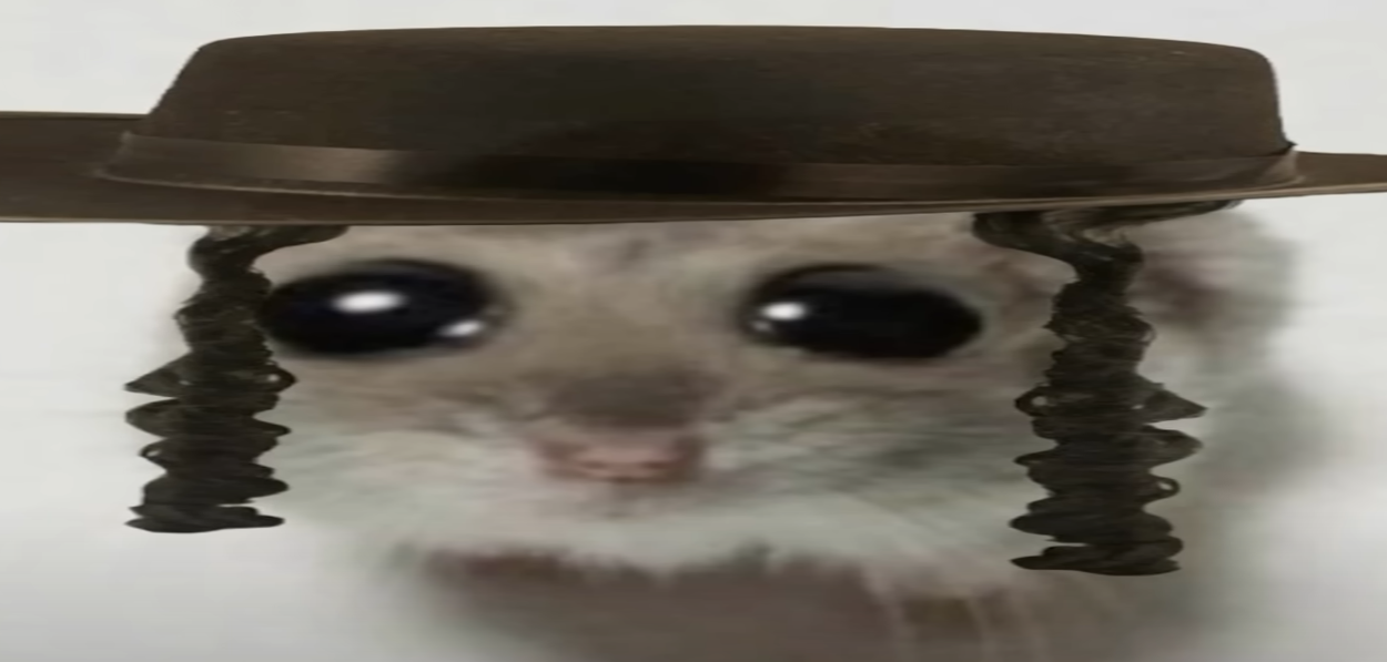 {TEXT?}