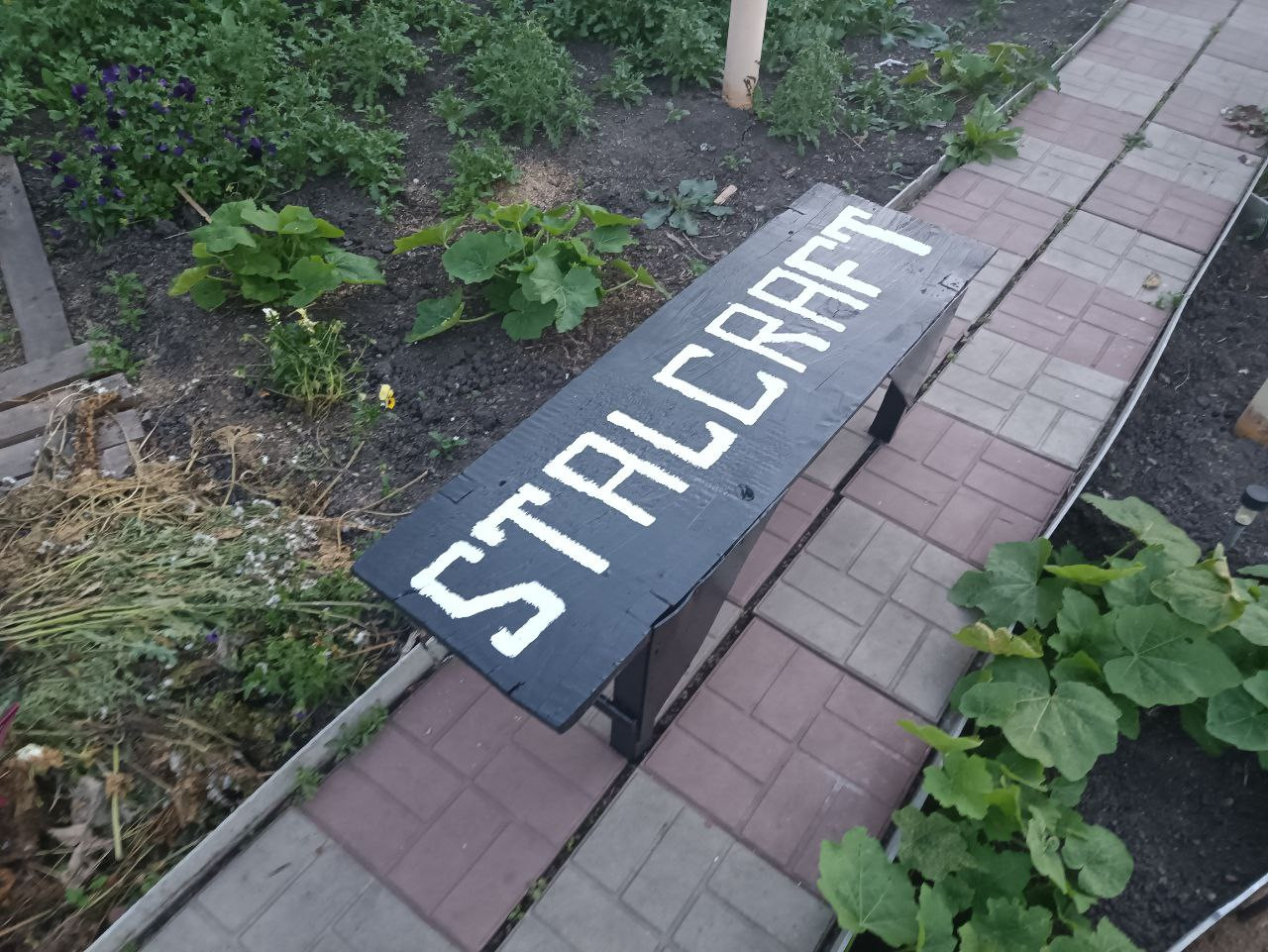{TEXT?}