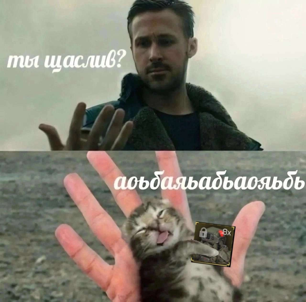 {TEXT?}
