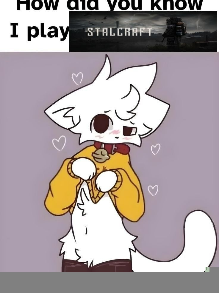 {TEXT?}